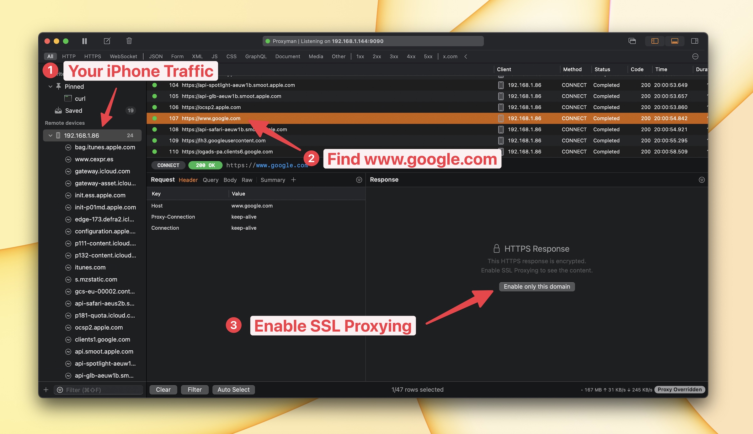 Capture HTTPS from Safari browser