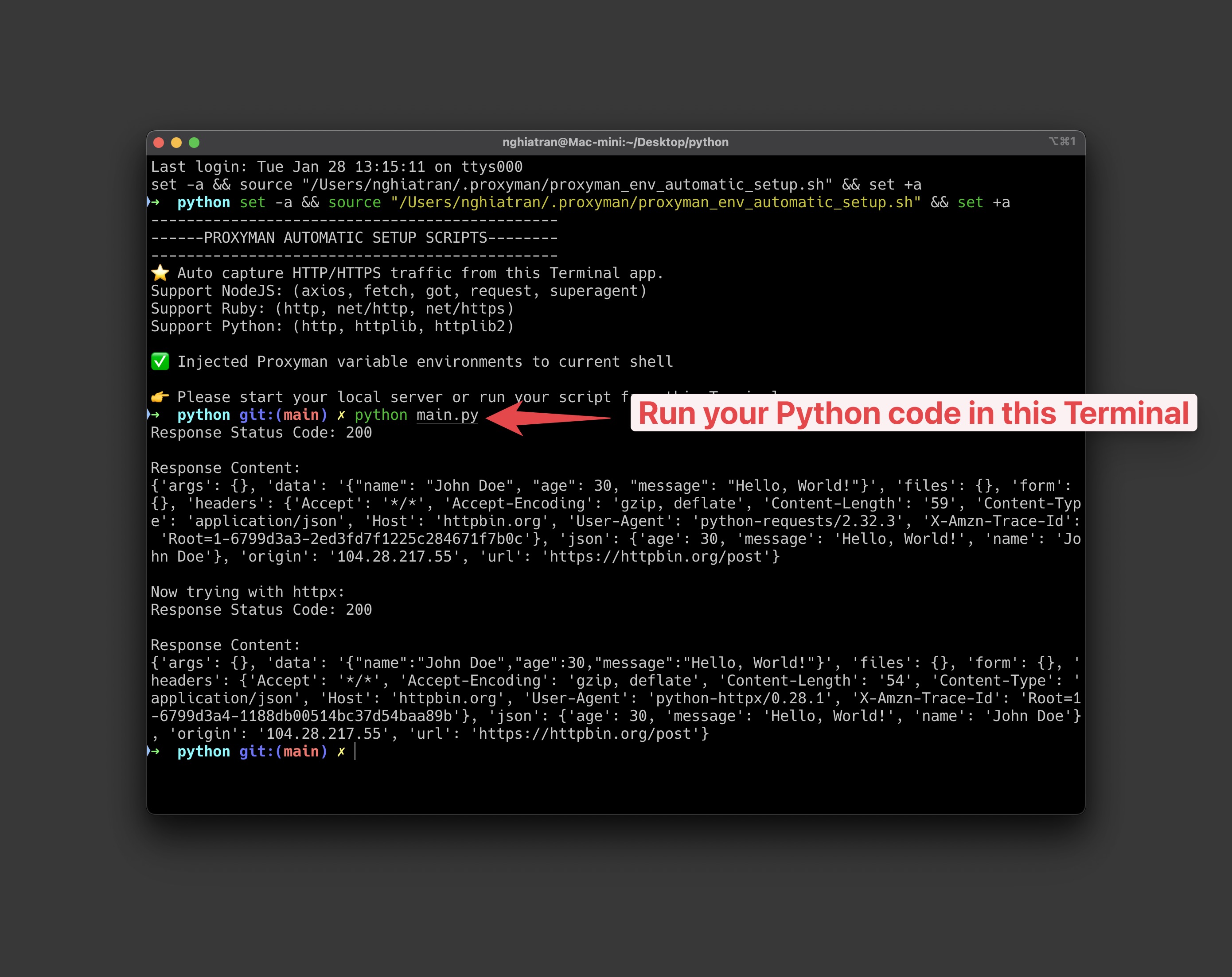 Run Python Code on Proxyman Terminal