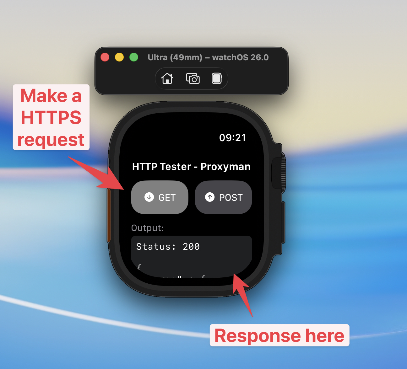 Watch OS sample app with Proxyman