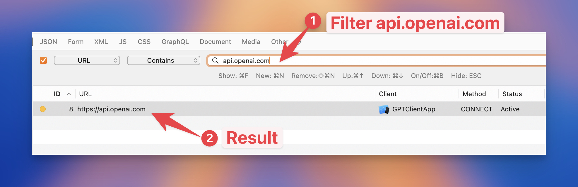 Search for OpenAI API in Proxyman