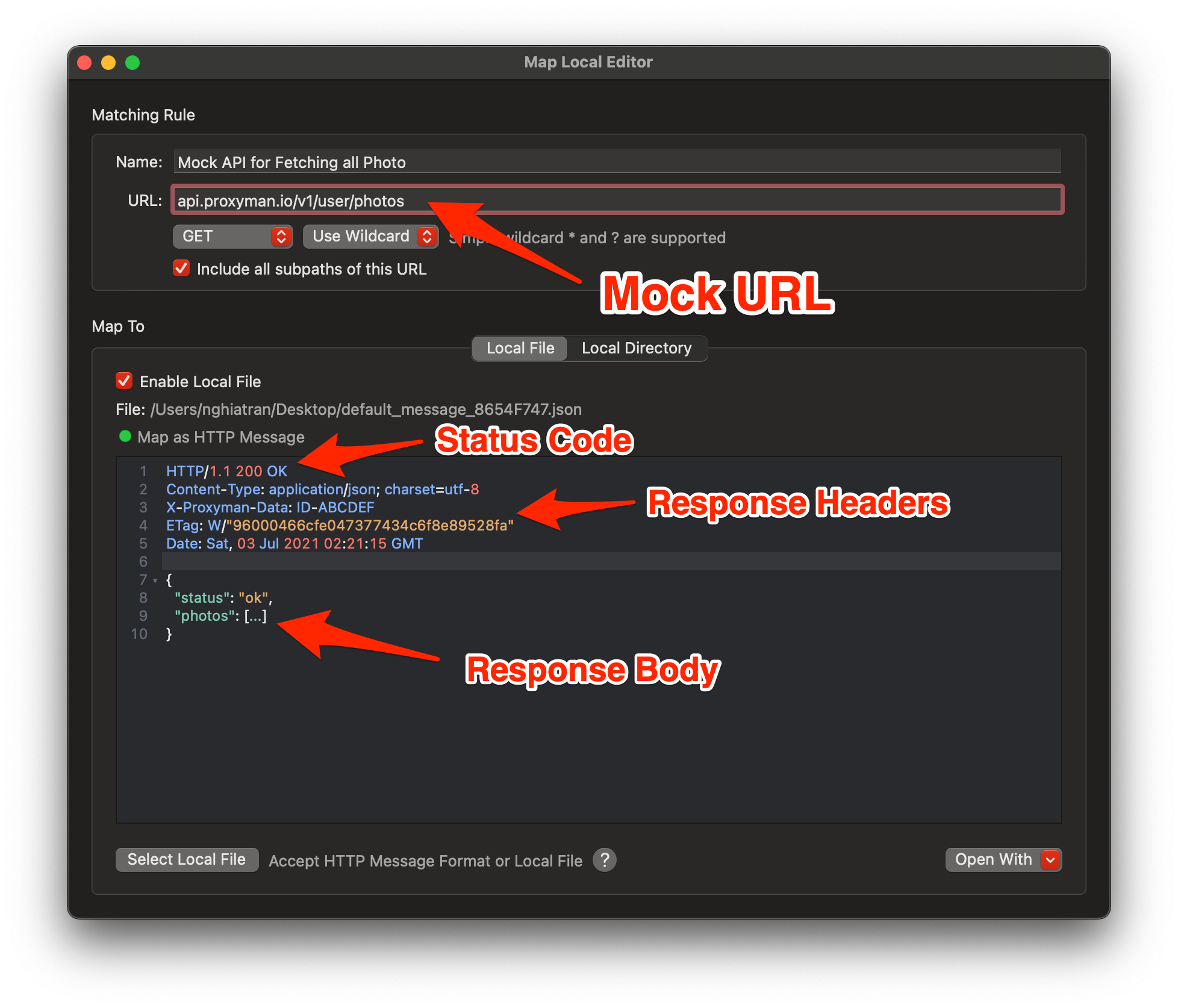 Mock API with Proxyman Map Local