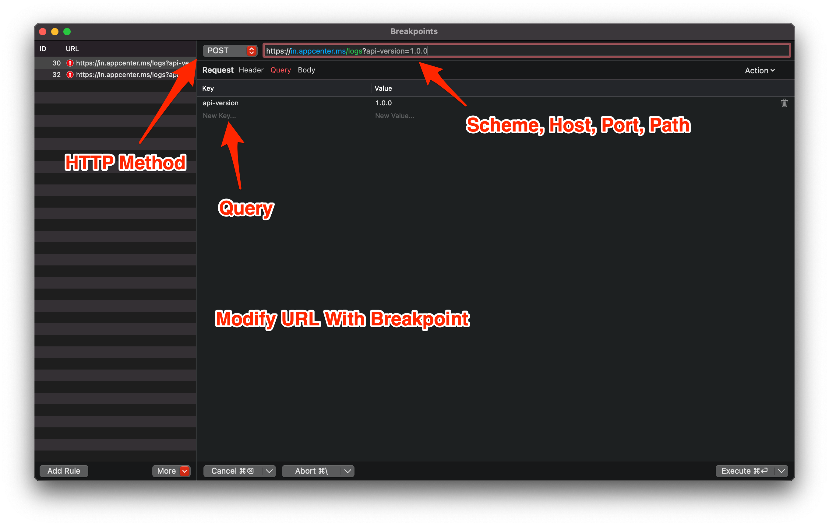 Modify the HTTP Method, Scheme, Host, Port, Path, and Query with Breakpoint Tool Proxyman