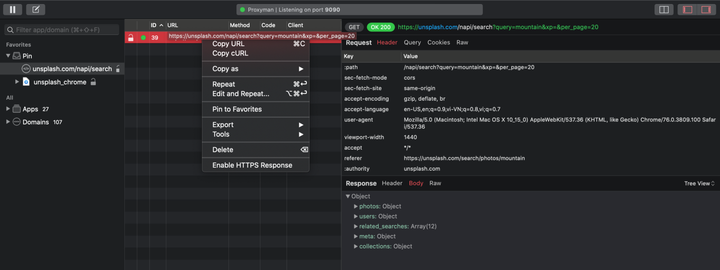 Share HTTPS request/response with HAR file