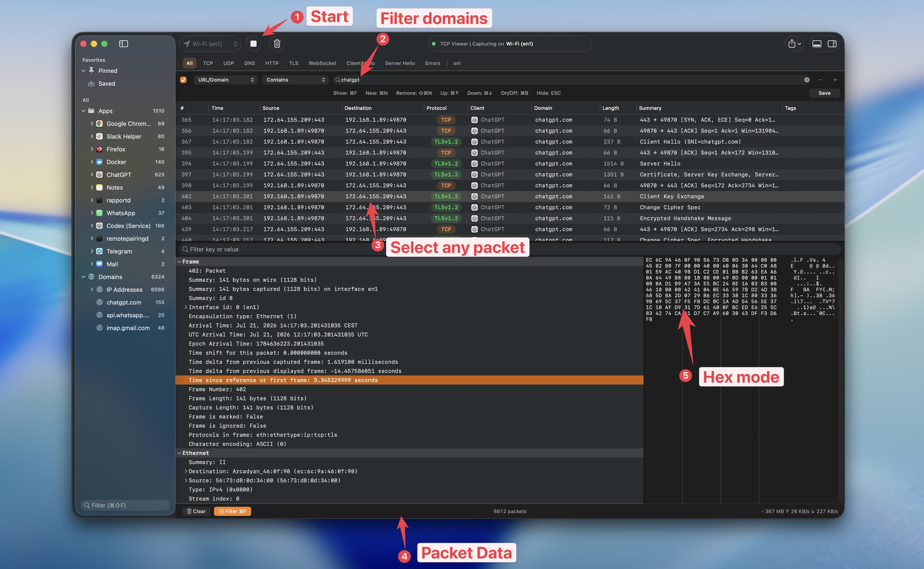 TCP Viewer filtering traffic and showing decoded packet fields beside raw bytes