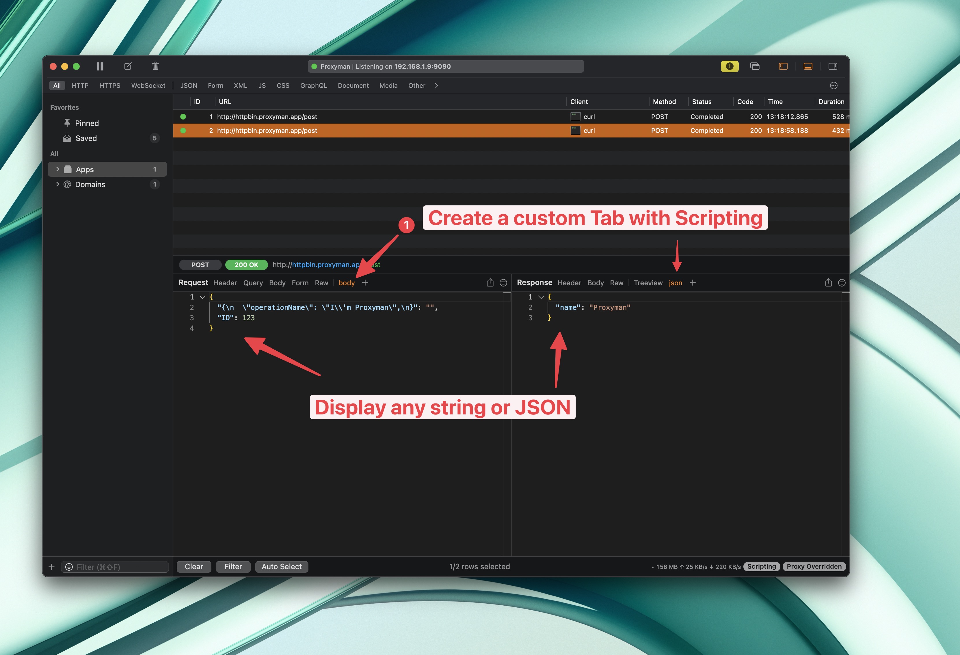 Proxyman showing custom body and json tabs filled with data from a script