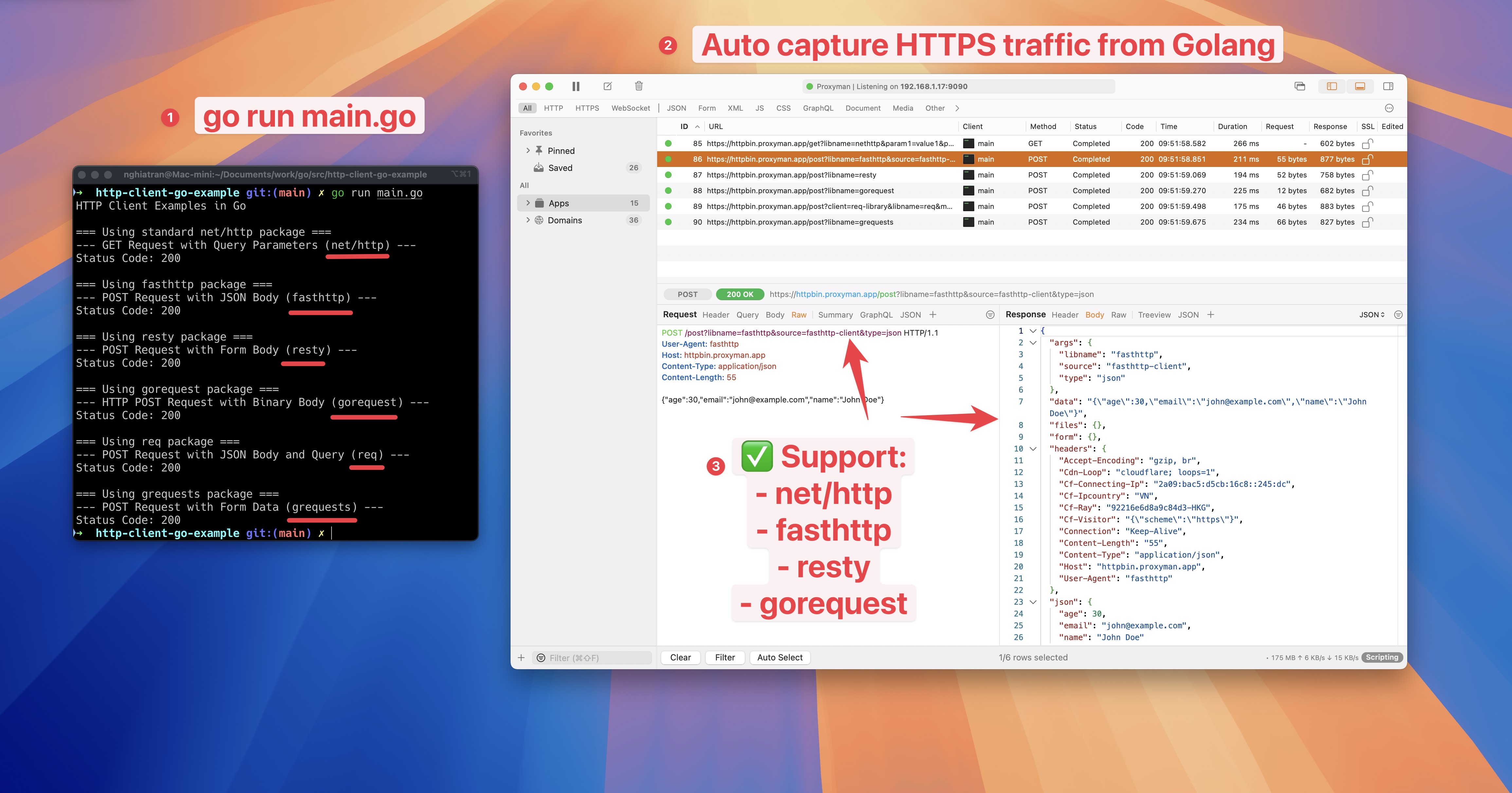 Terminal running go run main.go next to Proxyman showing captured requests from net/http, fasthttp and resty