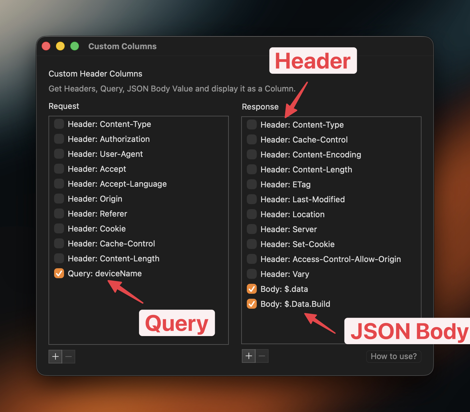 Custom Columns window with request and response lists, and Header, Query and JSON Body columns turned on