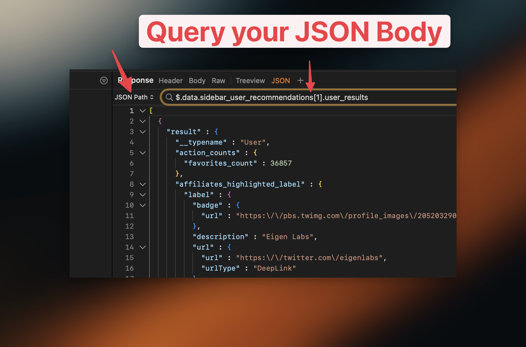 Proxyman JSON tab filtering a response body with a JSON Path expression